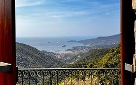 Vista Portofino